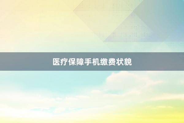 医疗保障手机缴费状貌