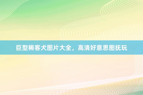 巨型稀客犬图片大全，高清好意思图抚玩