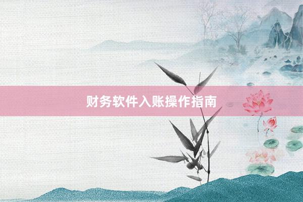 财务软件入账操作指南
