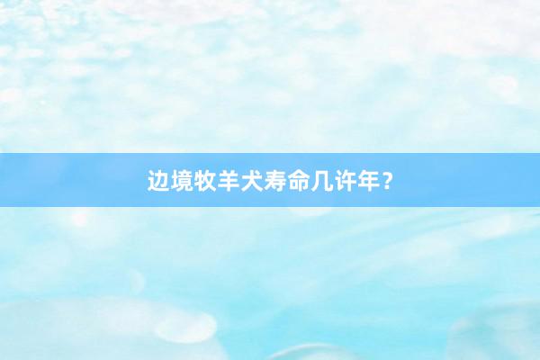 边境牧羊犬寿命几许年?